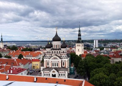 THE FIPLV NORDIC-BALTIC REGION (NBR) CONFERENCE 2016